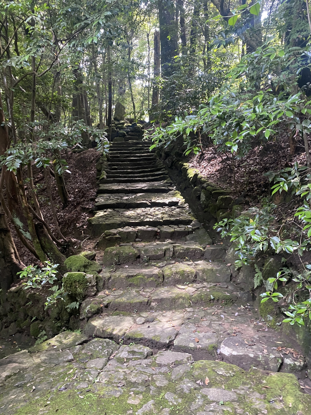 春日山遊歩道の写真17