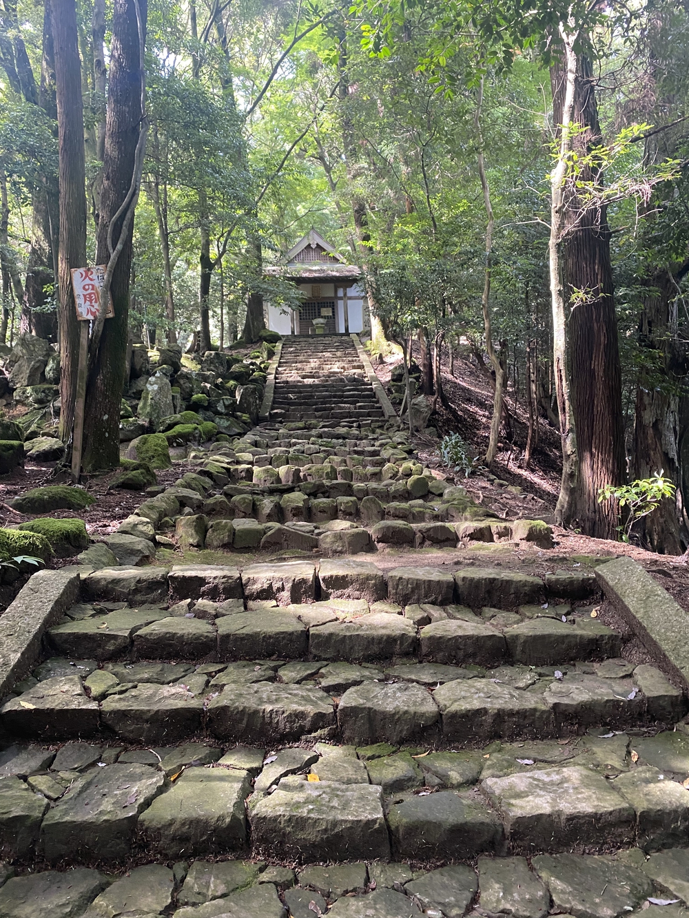 春日山遊歩道の写真18