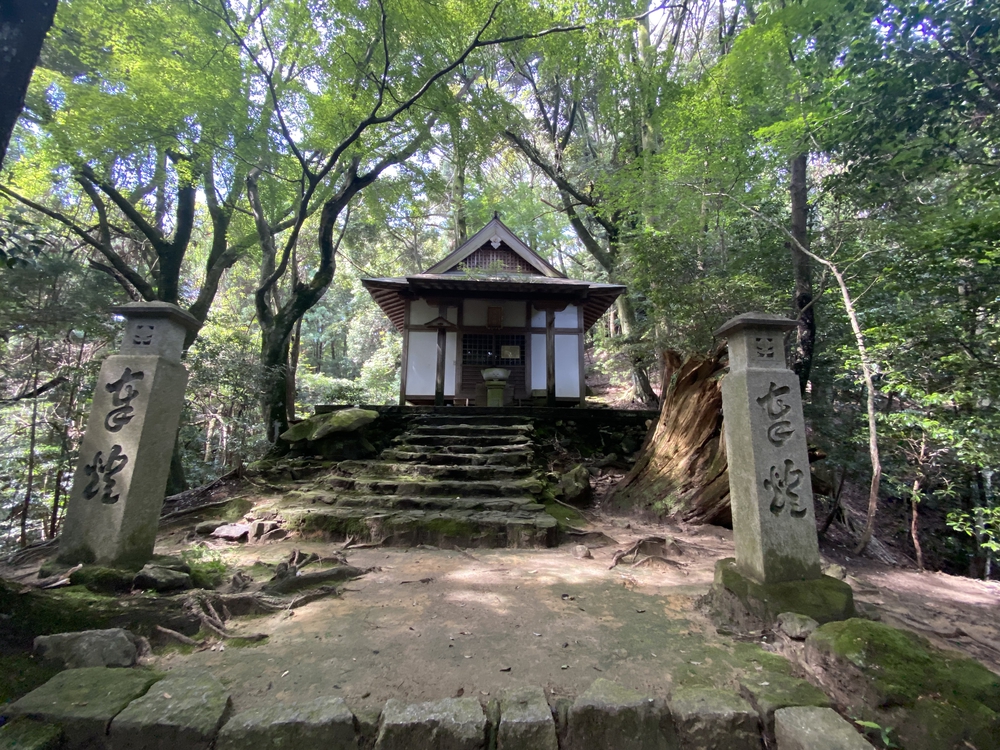 春日山遊歩道の写真19