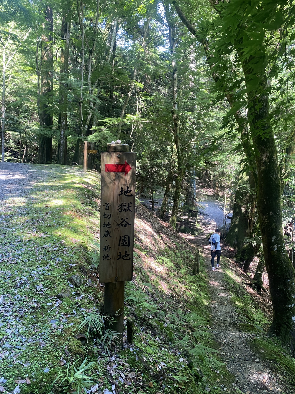 春日山遊歩道の写真23