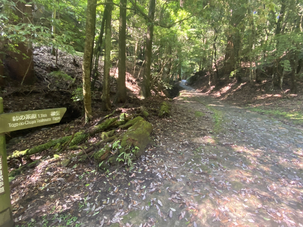春日山遊歩道の写真24