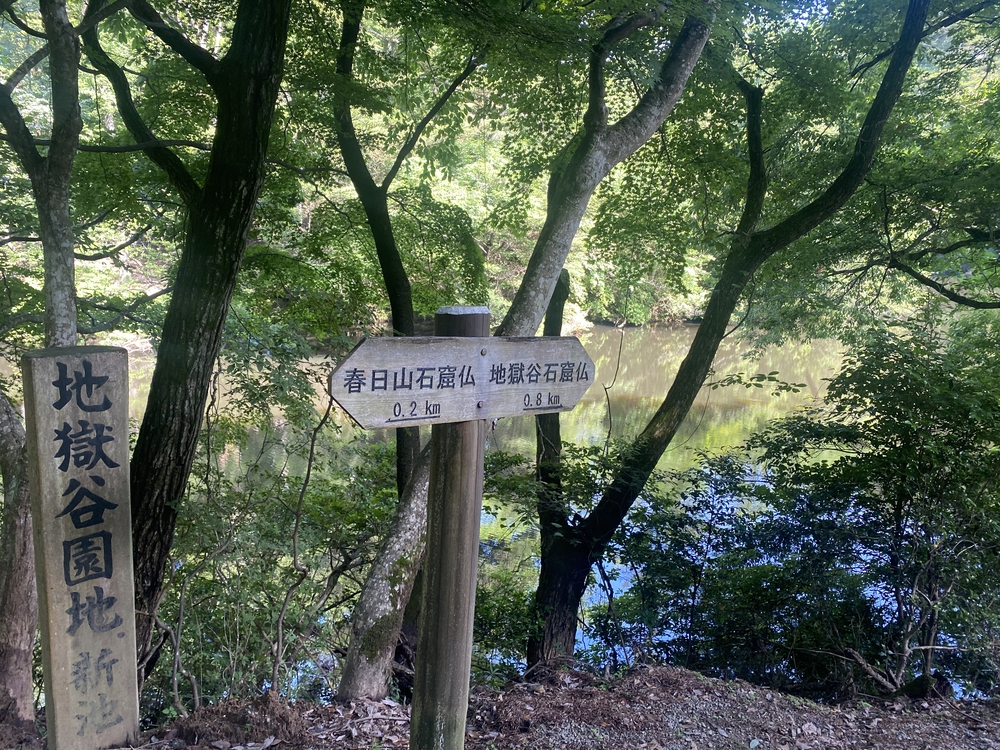 春日山遊歩道の写真26