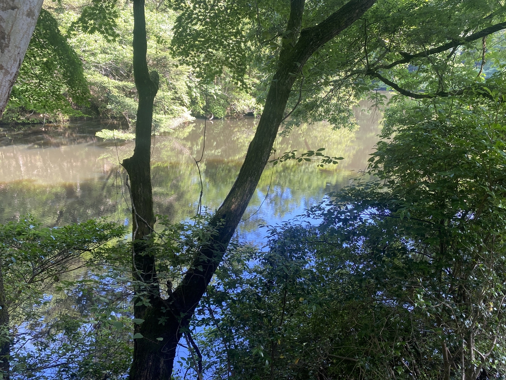 春日山遊歩道の写真27