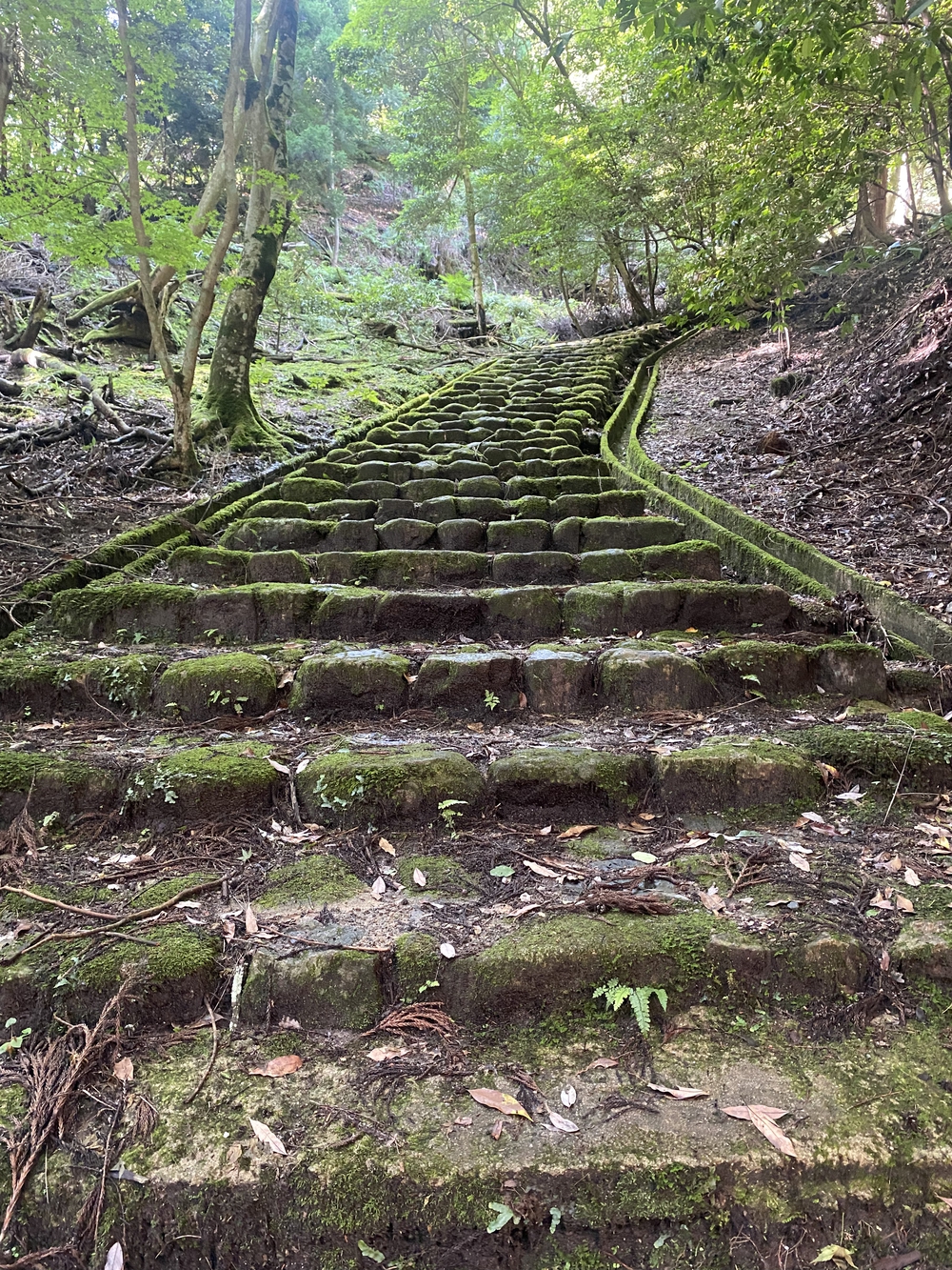 春日山遊歩道の写真29