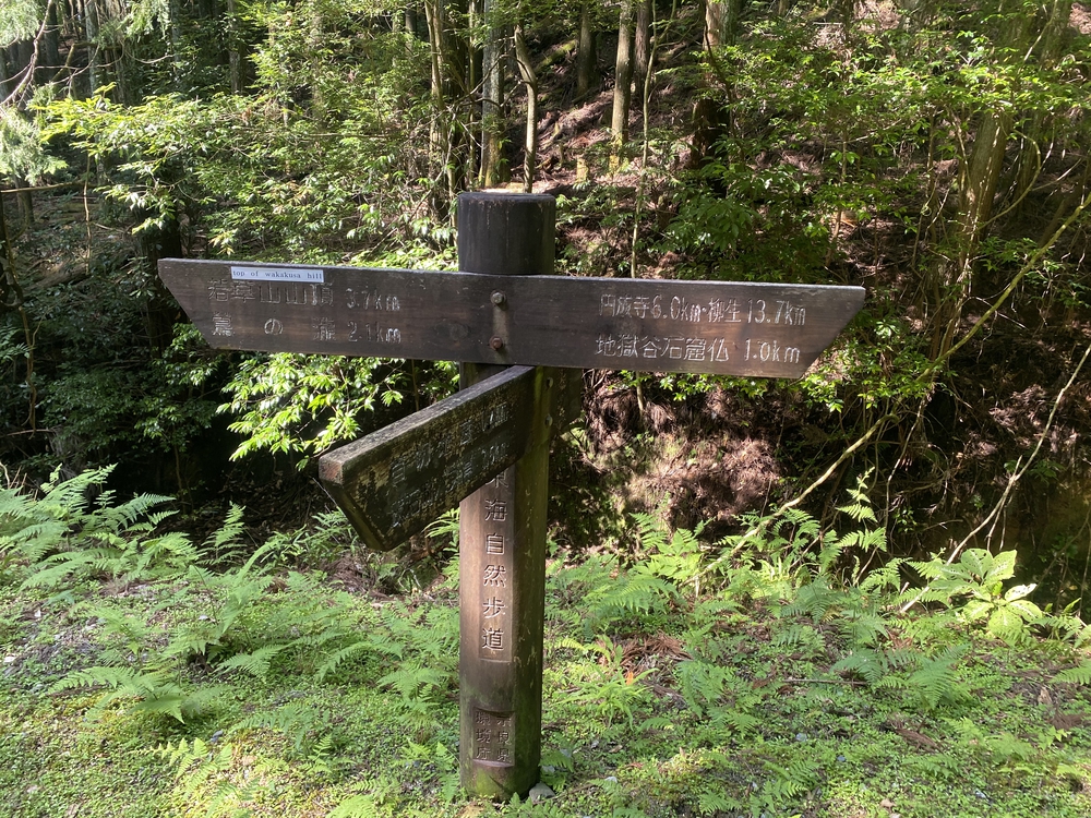 春日山遊歩道の写真31