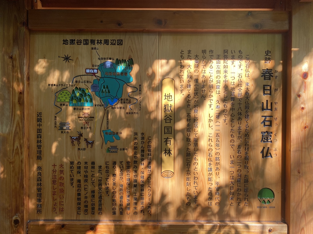 春日山遊歩道の写真33