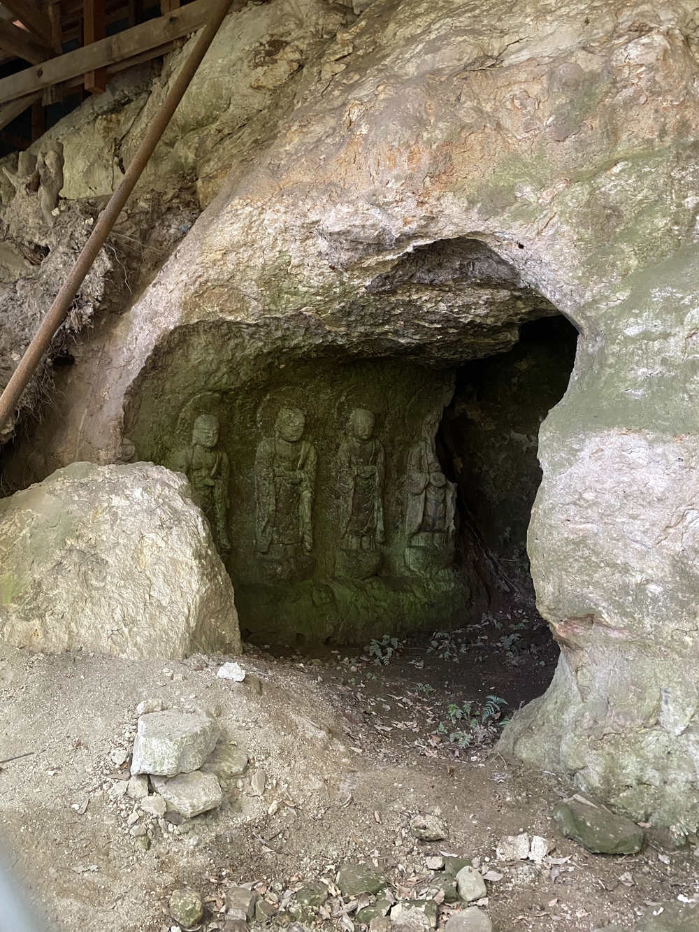 春日山遊歩道の写真35