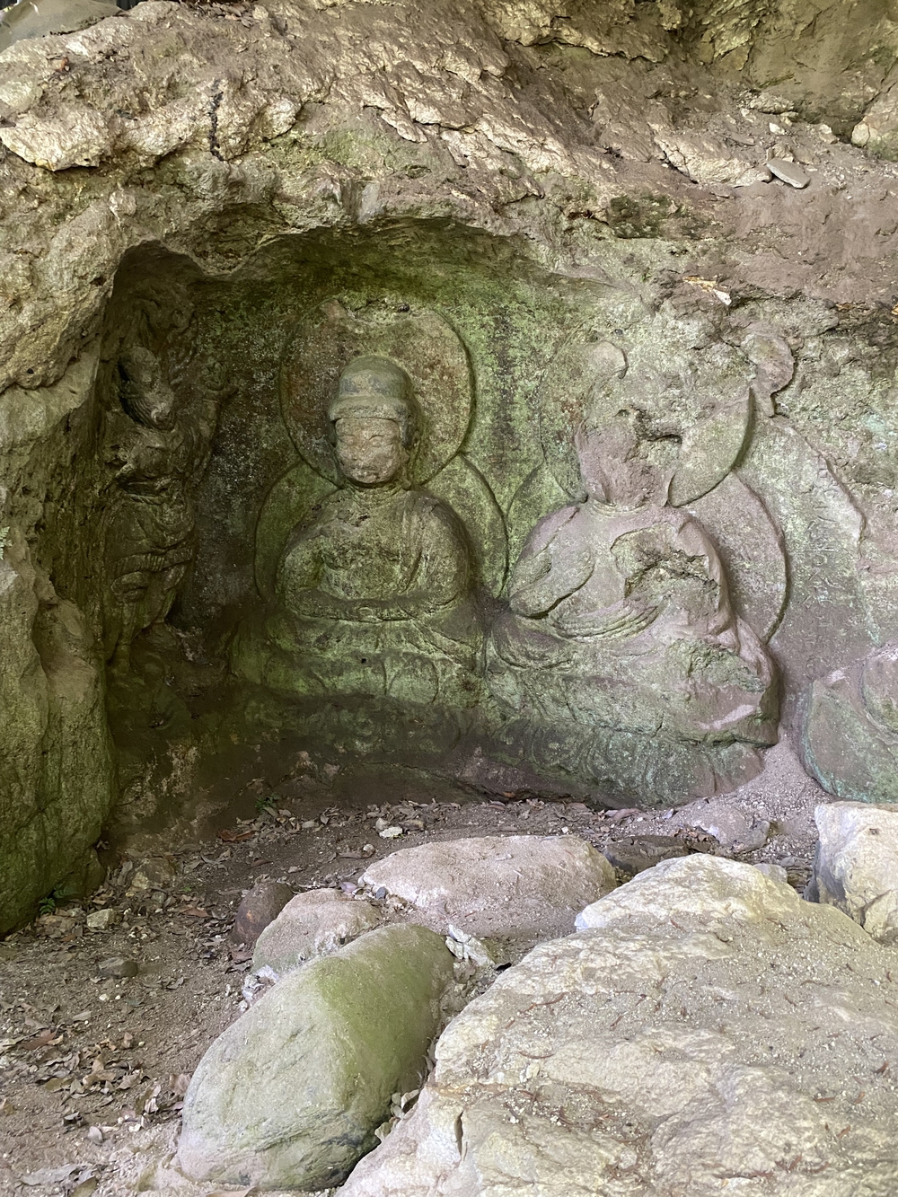 春日山遊歩道の写真36