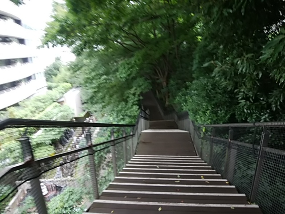 日比谷ライドＳG　都心のパワースポットを巡る初心者向け約5㎞の写真4