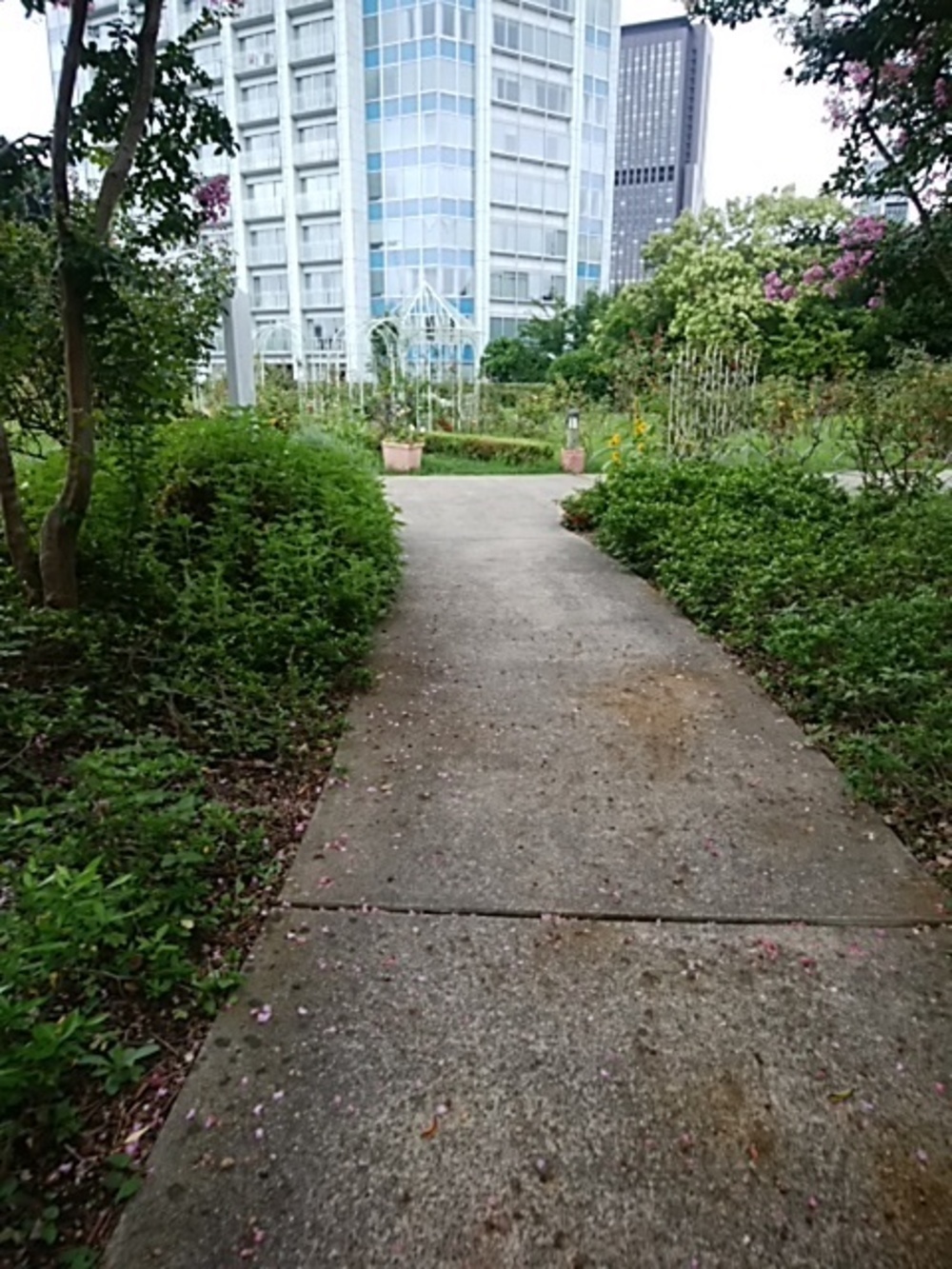 日比谷ライドＳG　都心のパワースポットを巡る初心者向け約5㎞の写真7