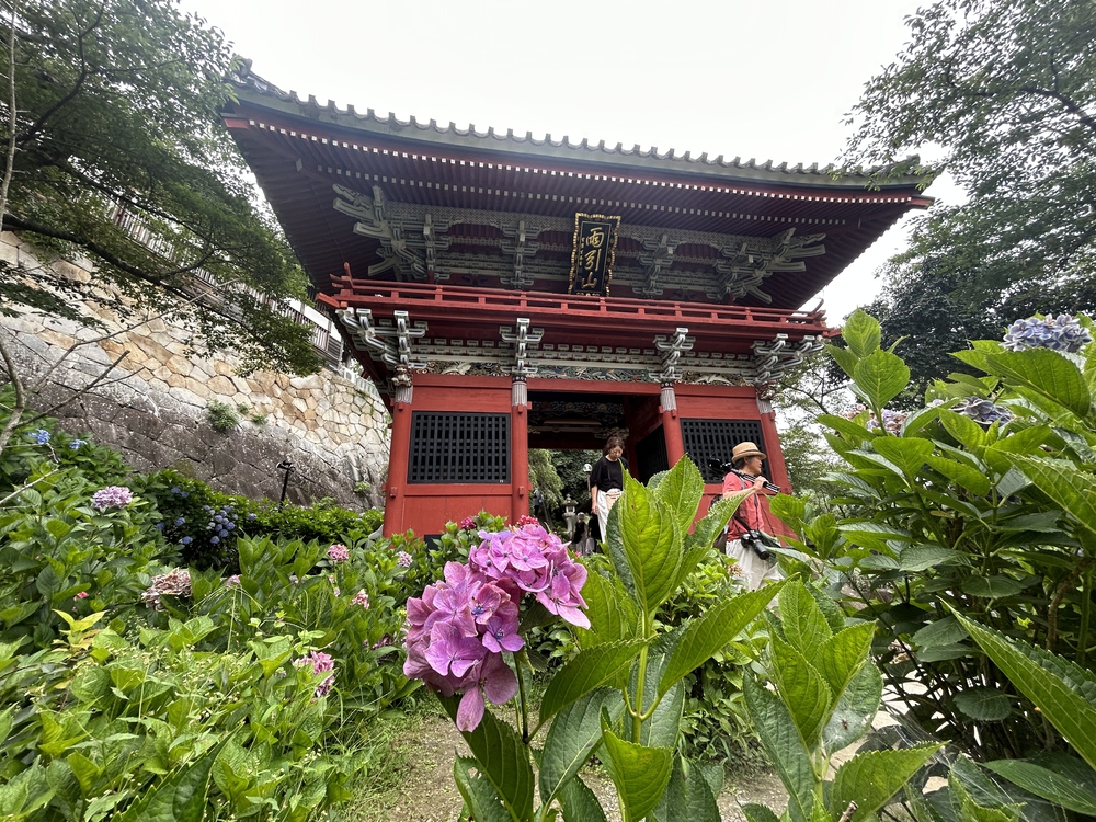 雨引観音紫陽花トレイルの写真3