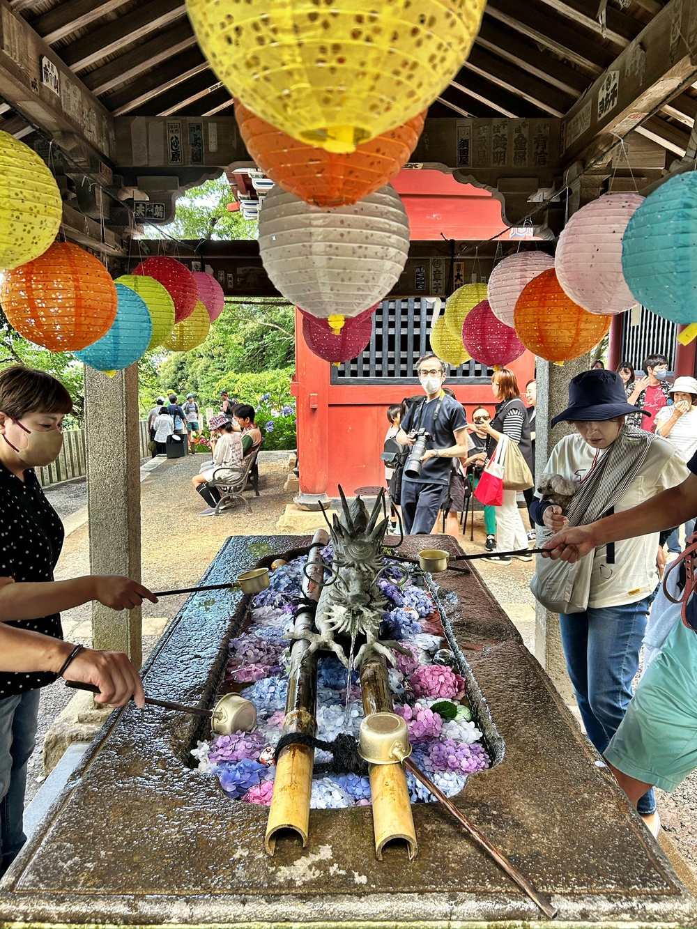 雨引観音紫陽花トレイルの写真5