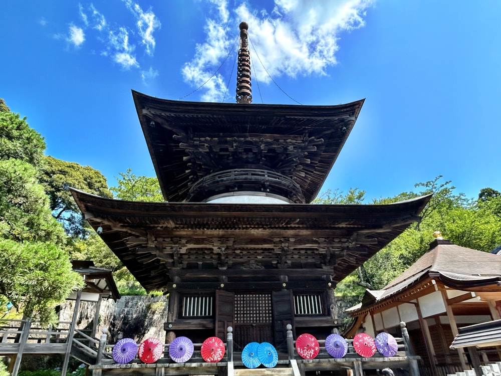 雨引観音紫陽花トレイルの写真6