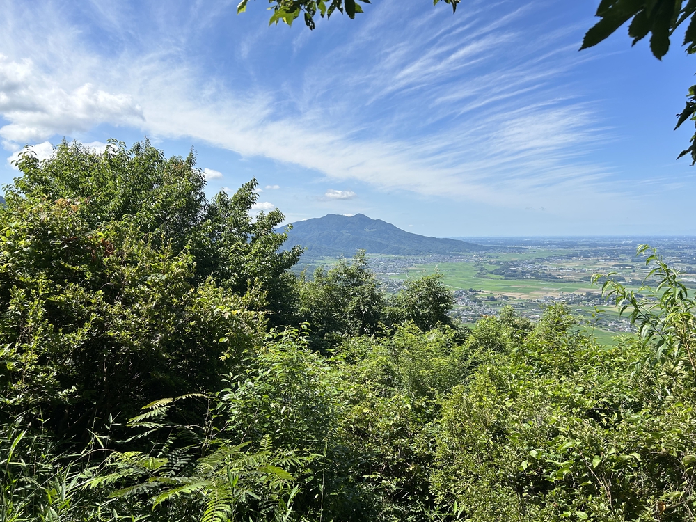 雨引観音紫陽花トレイルの写真9
