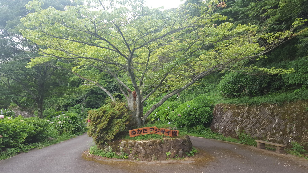 生駒山麓　石切～暗峠～府民の森～石切ランの写真6