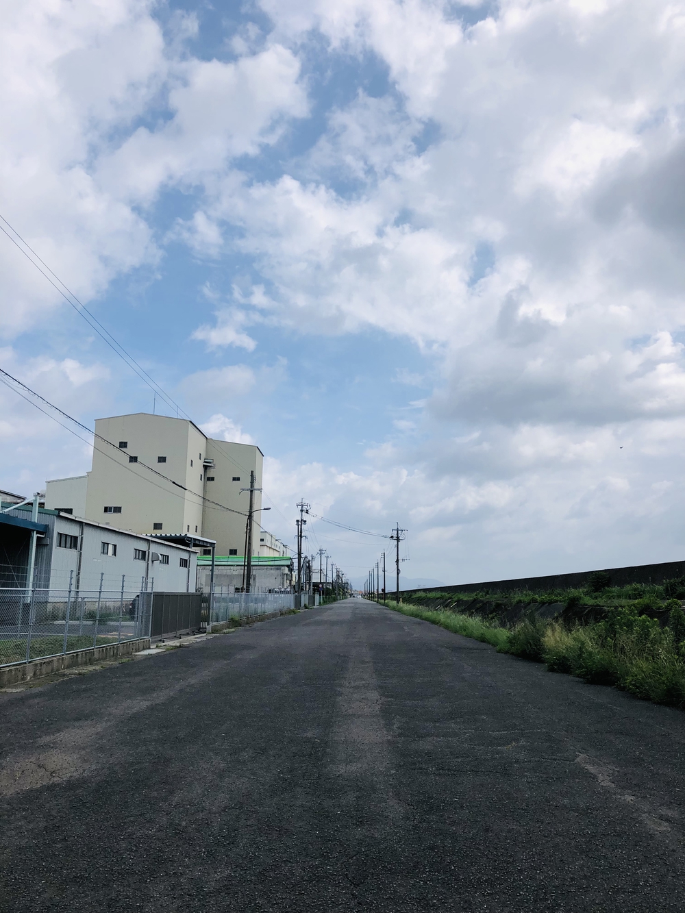 マリンポートかごしま発10kmの写真8