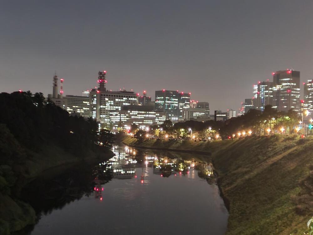 下町から山手おでかけラン　菊川橋→皇居→目白の写真3