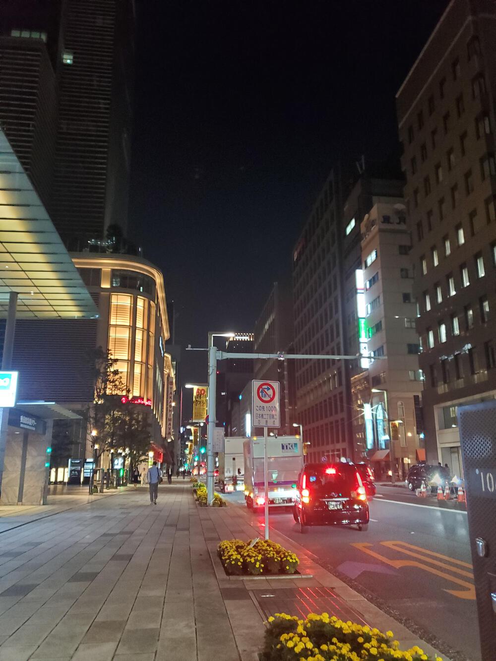 下町から山手おでかけラン　菊川橋→皇居→目白の写真4