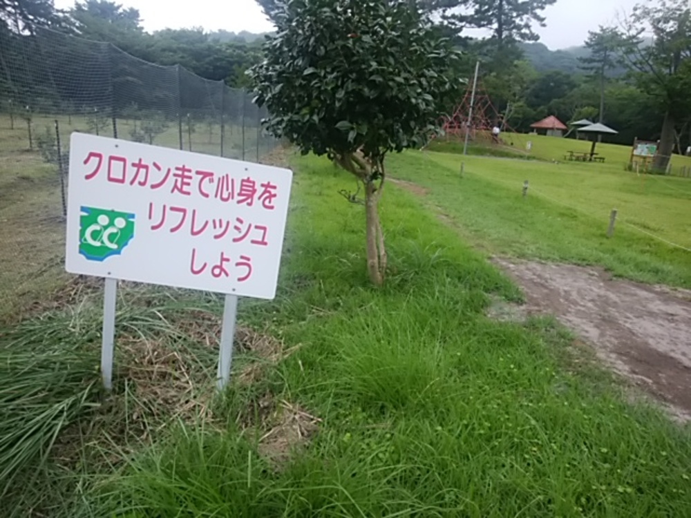 伊豆稲取クロカンコースの写真3