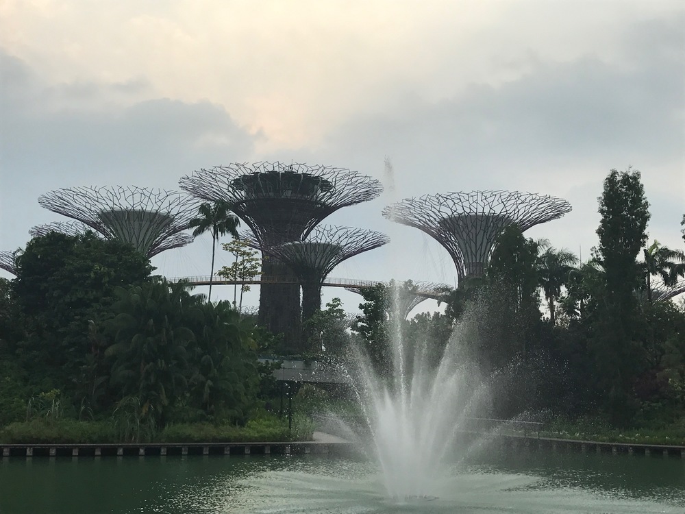 シンガポールをぐるっとの写真5