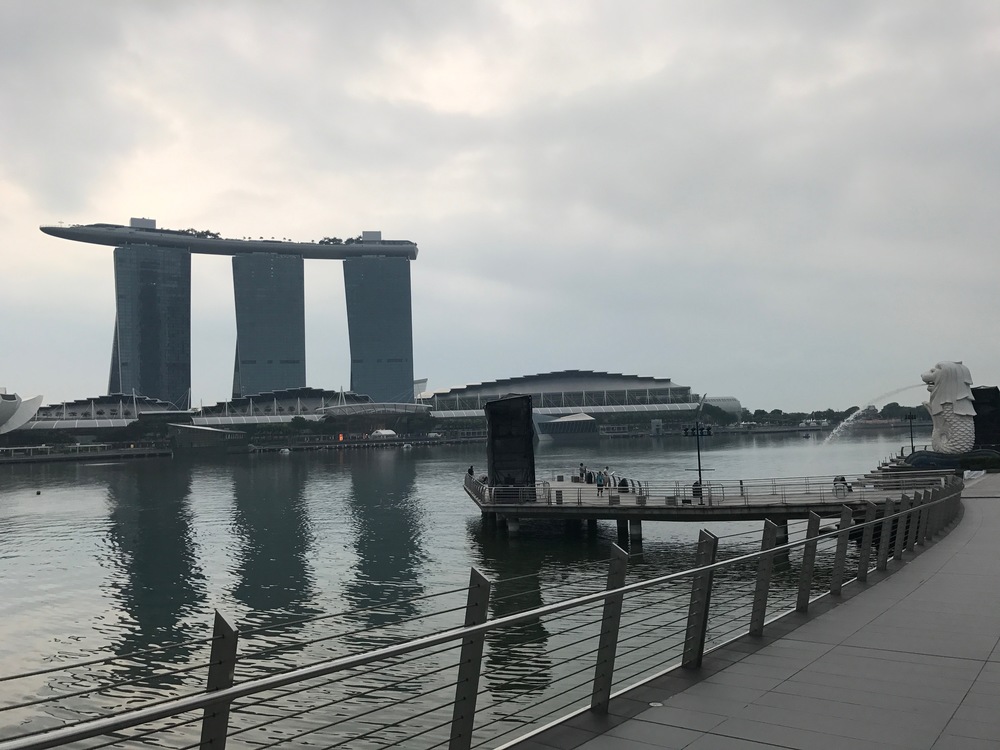 シンガポールをぐるっとの写真7