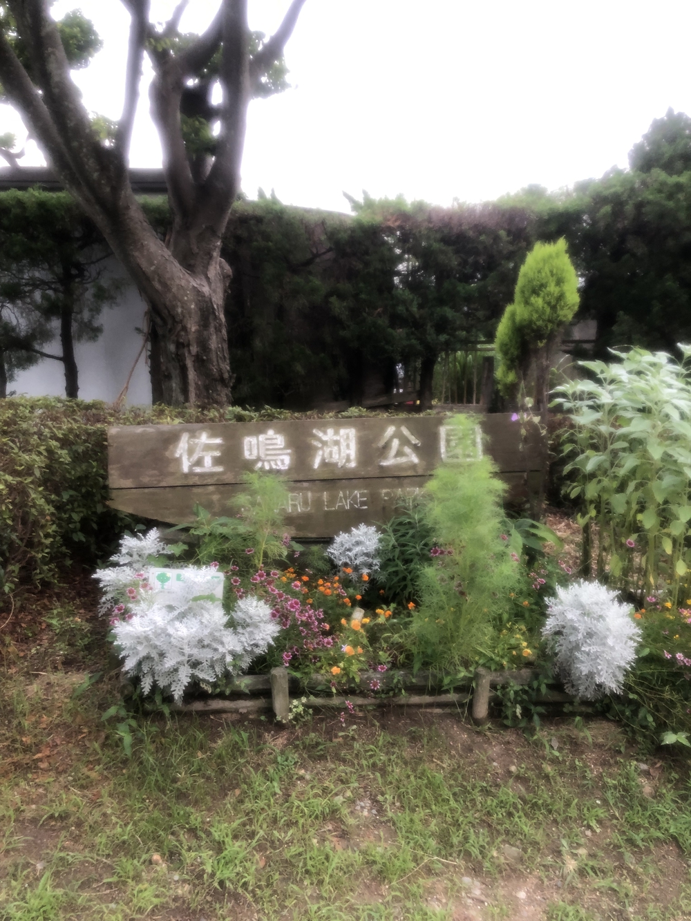 浜松市のランニング聖地の写真3