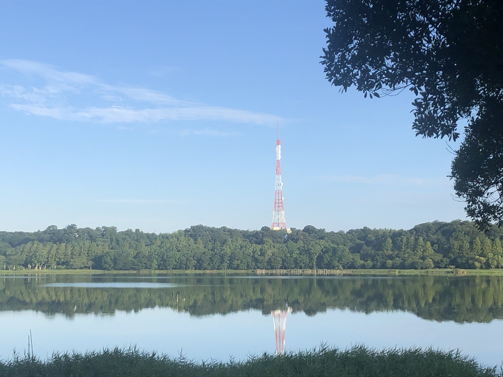 浜松市のランニング聖地の写真4