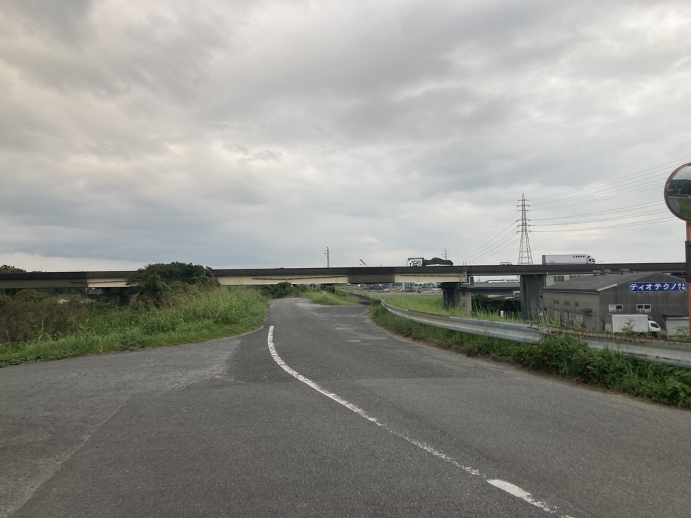 アマンディから「さが桜マラソン」のゴールの練習の写真3