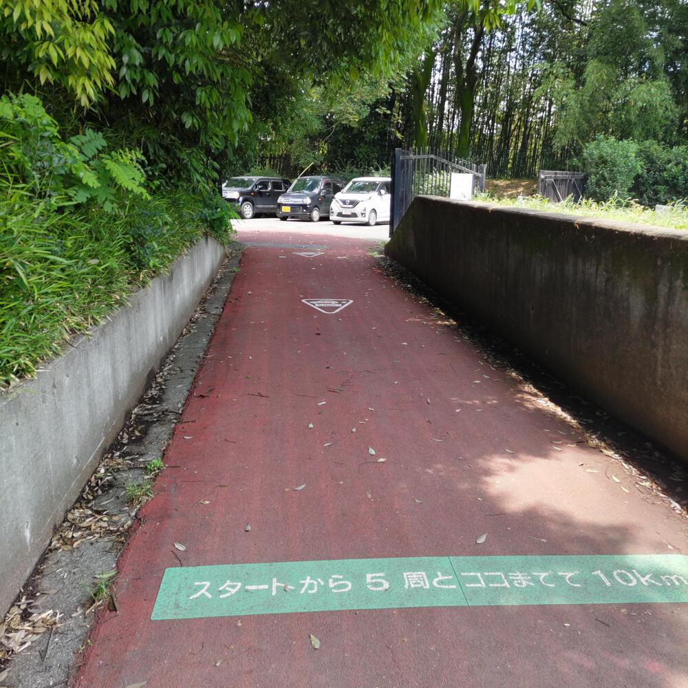 マイナスイオンたっぷり群馬の森ランニングの写真3