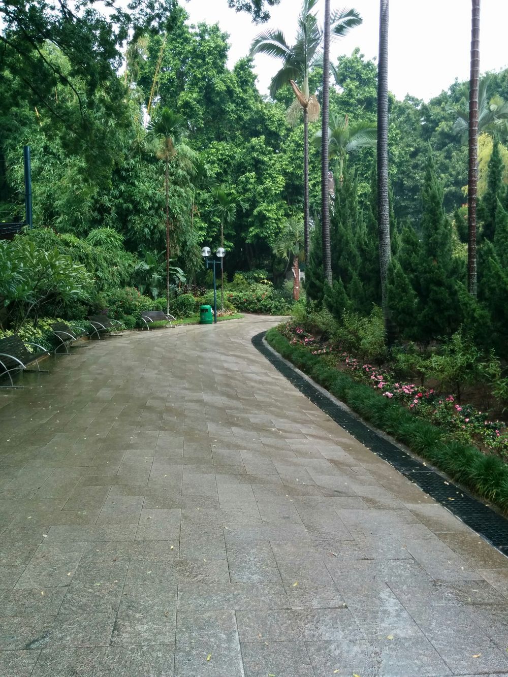 香港の趣を感じる九龍公園 (KOWLOON PARK)の写真6