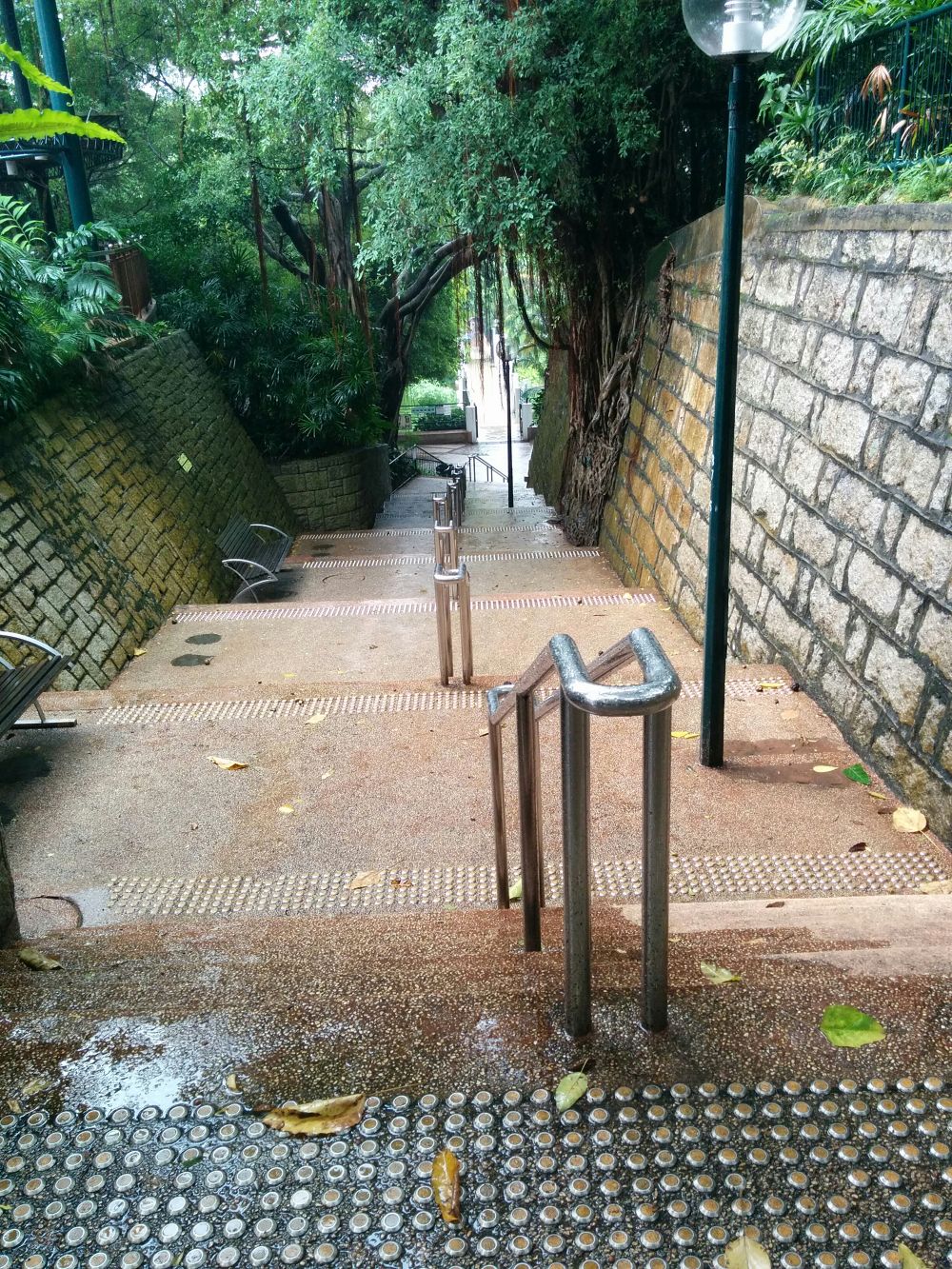 香港の趣を感じる九龍公園 (KOWLOON PARK)の写真7