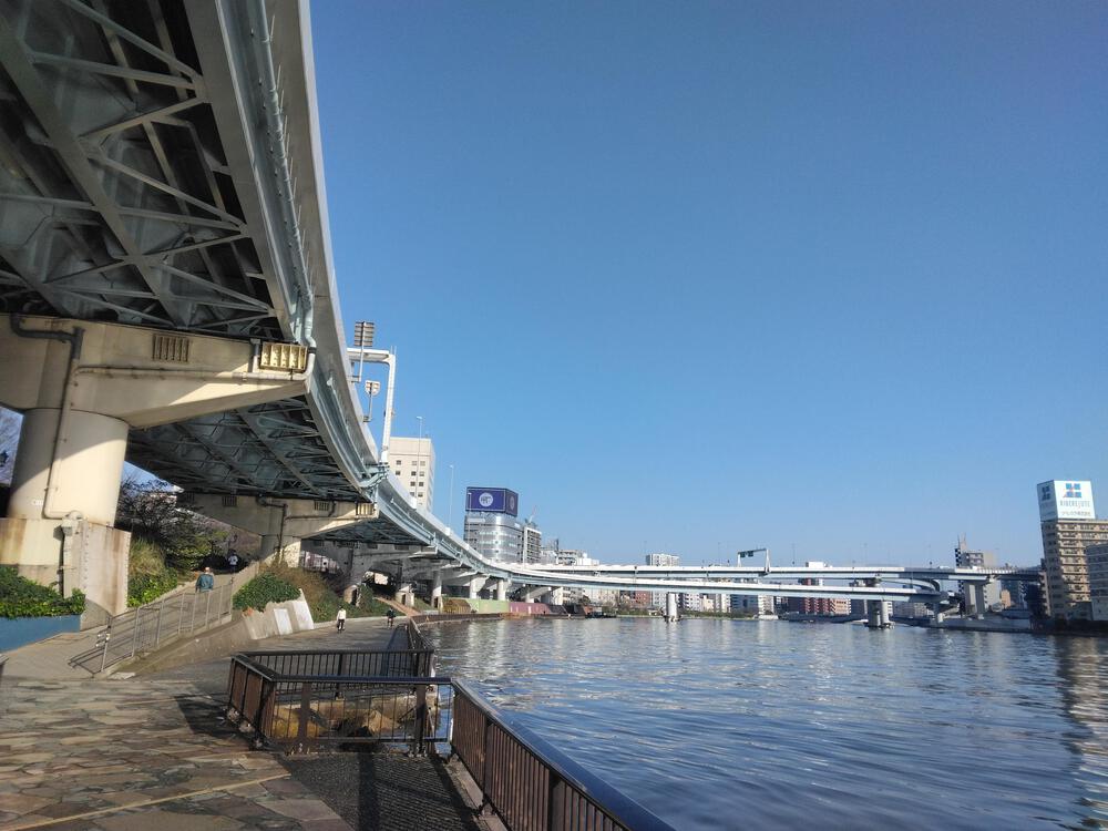 春のうららの隅田川遡上ラン【写真撮影2024.3.30】の写真7