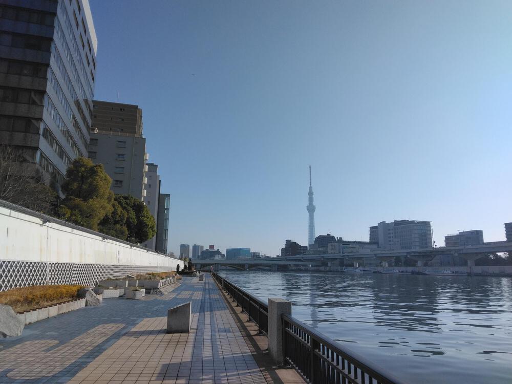 春のうららの隅田川遡上ラン【写真撮影2024.3.30】の写真9