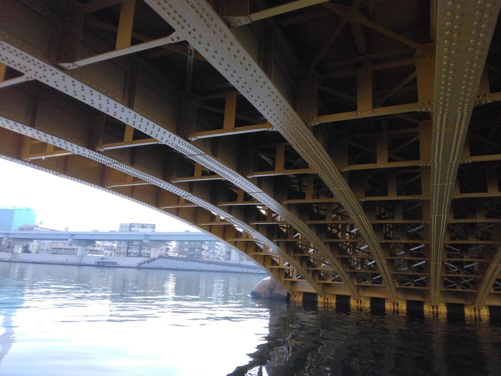 春のうららの隅田川遡上ラン【写真撮影2024.3.30】の写真10