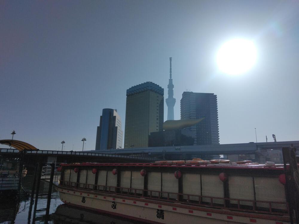 春のうららの隅田川遡上ラン【写真撮影2024.3.30】の写真12