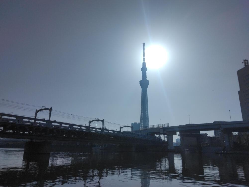 春のうららの隅田川遡上ラン【写真撮影2024.3.30】の写真13