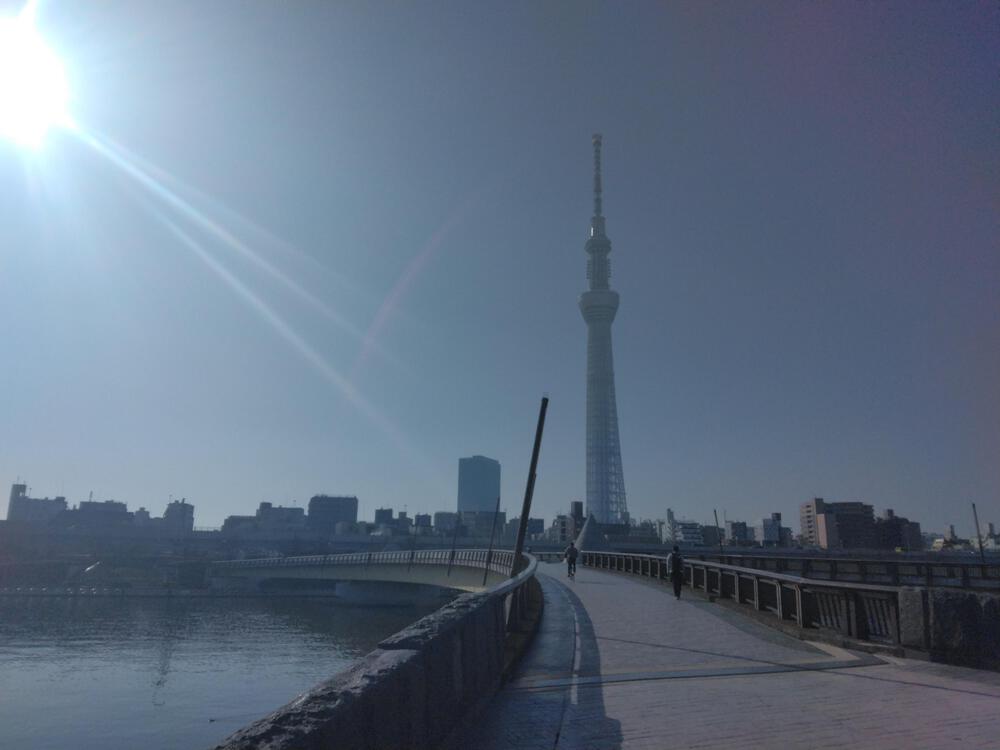 春のうららの隅田川遡上ラン【写真撮影2024.3.30】の写真15