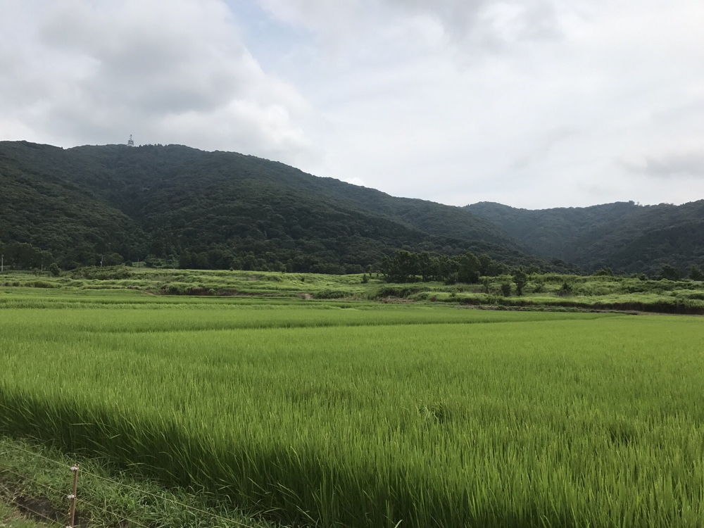 これは楽しい！宝篋山13kmコースの写真3