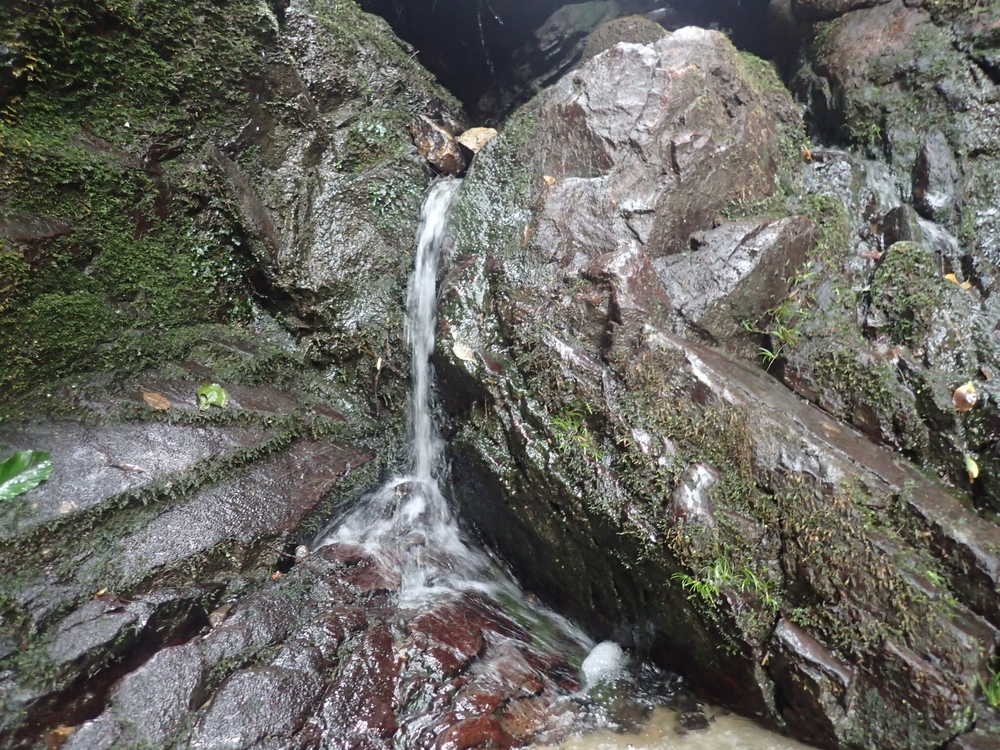 これは楽しい！宝篋山13kmコースの写真5