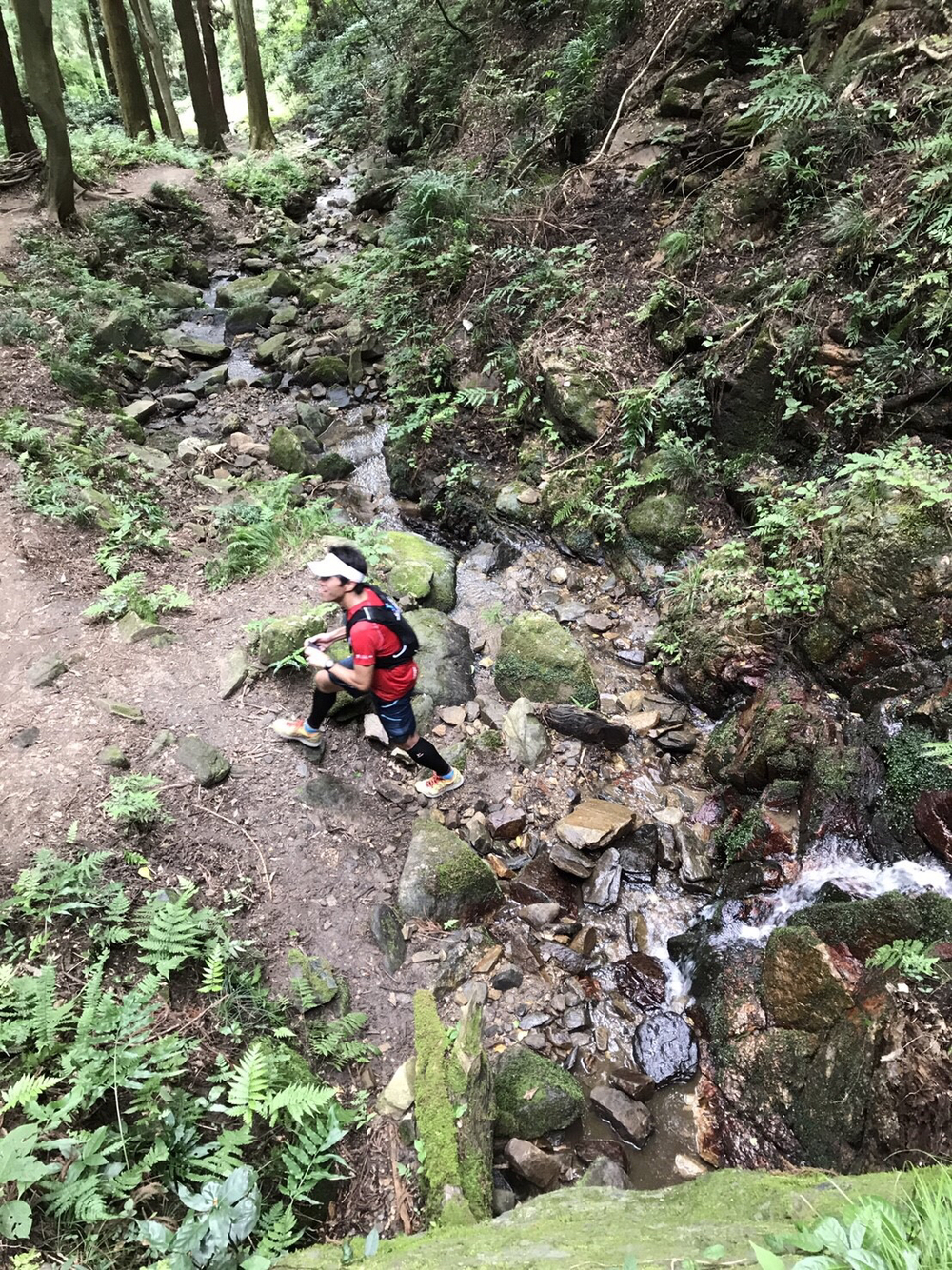 これは楽しい！宝篋山13kmコースの写真6