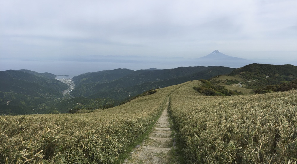 伊豆山稜線歩道＜戸田峠→達磨山→棚場山→猫越岳→天城峠＞30Kの写真3