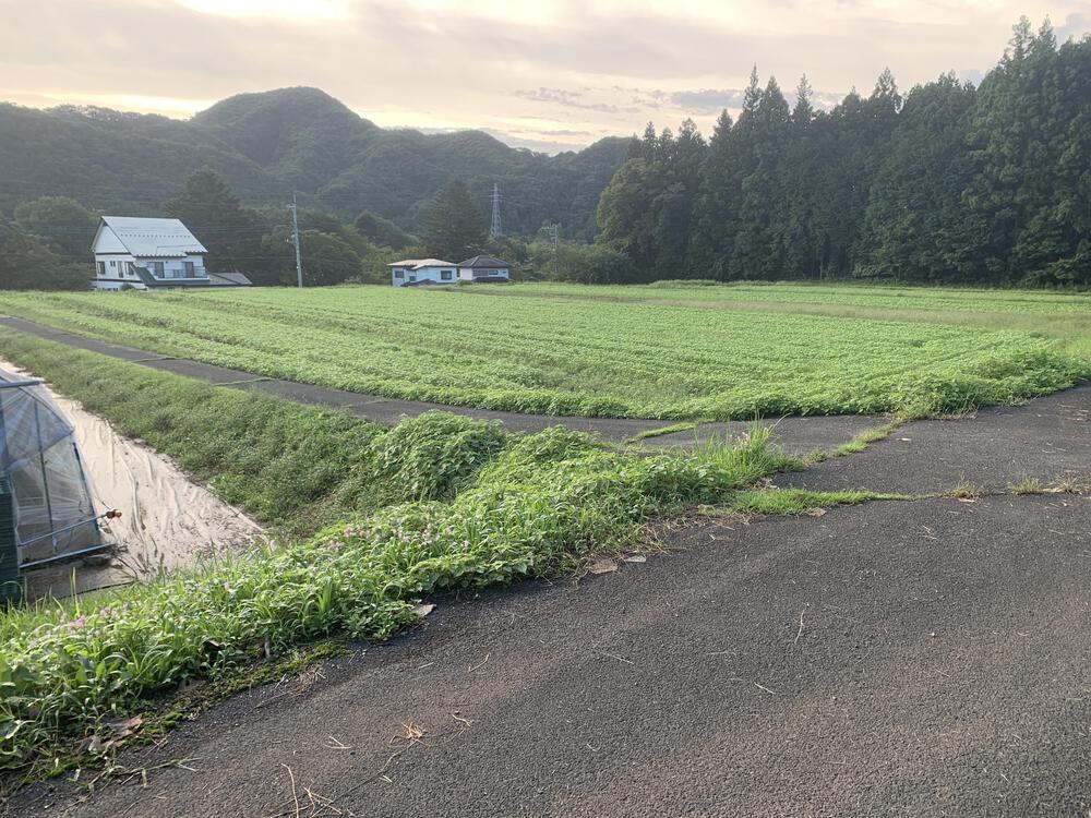 鬼怒川　四橋巡りの写真5