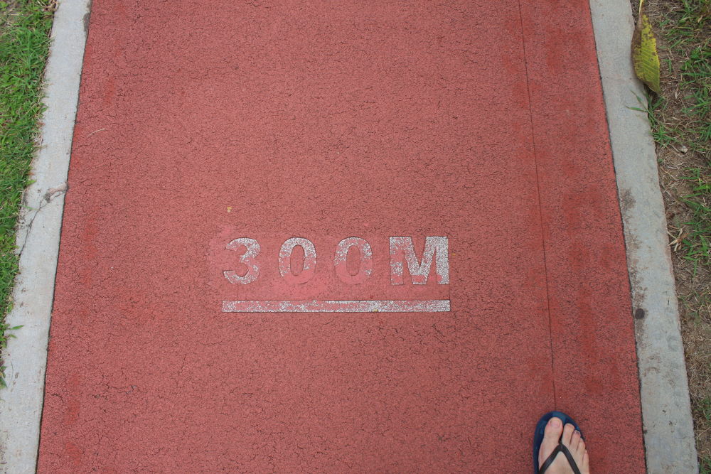 香港・ハッピーバレー競馬場の中で走る。の写真4