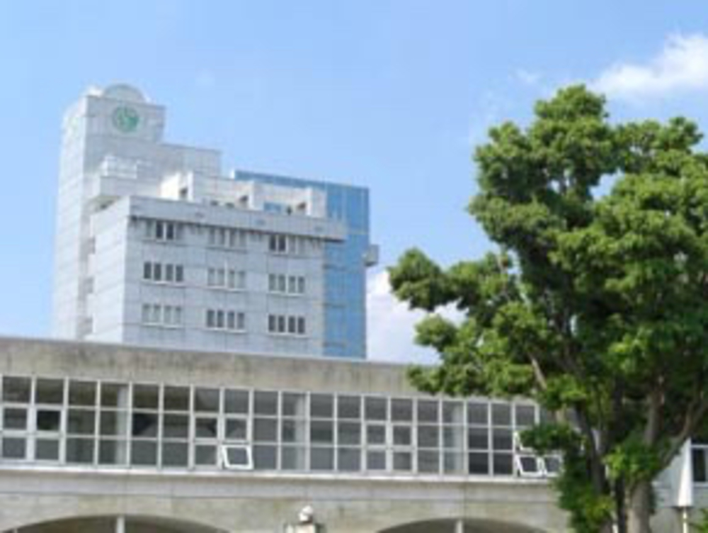 九頭竜川沿いを走るコース景色も良く休日の早朝に走るのがオススメです。の写真7