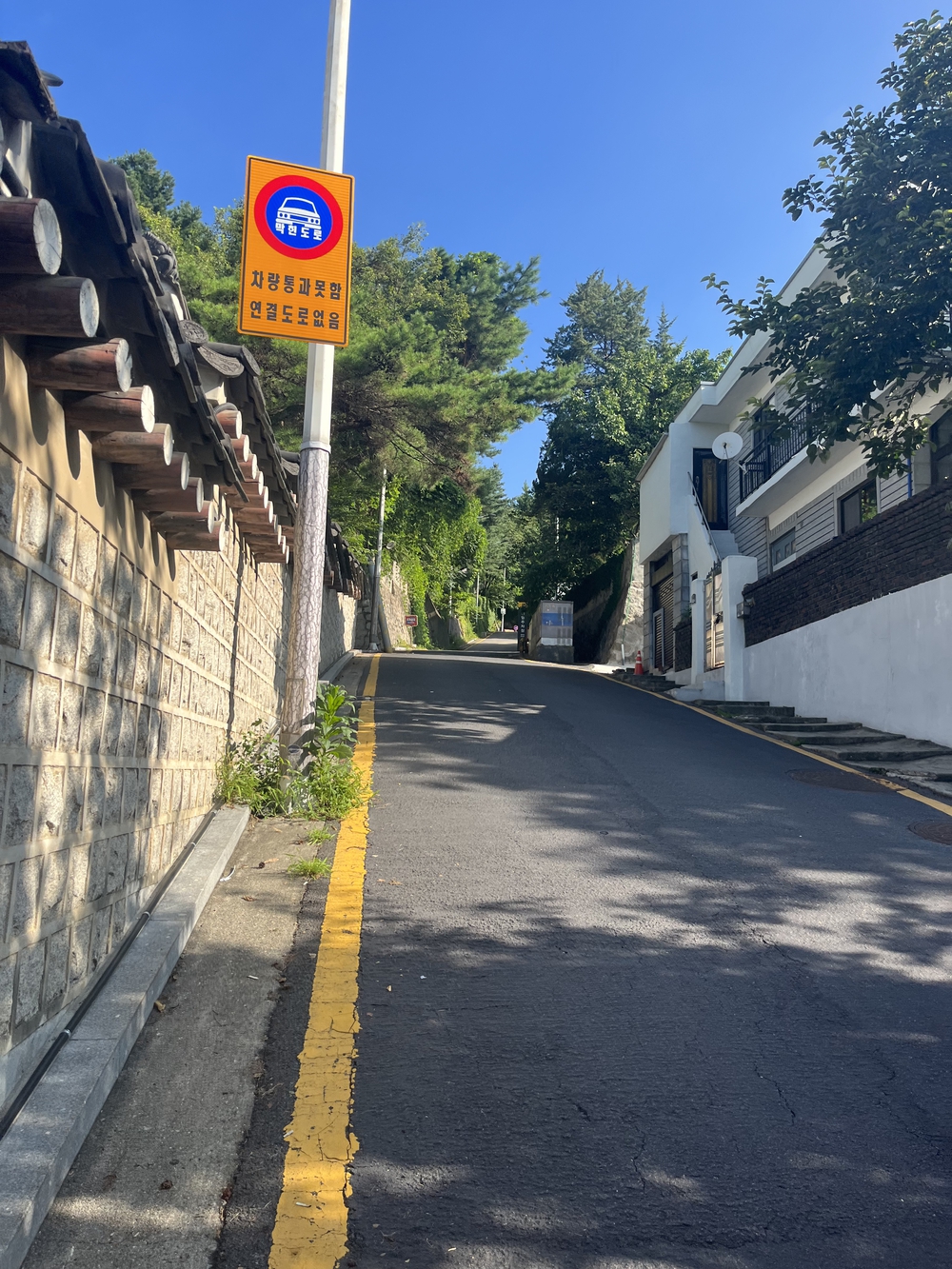 ザ・観光ラン in 서울の写真4