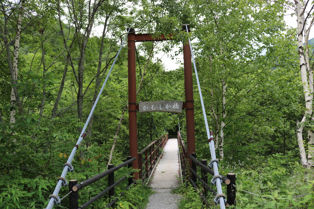 豪快な滝の音とマイナスイオンを満喫！平湯大滝コース【温泉ラン_奥飛騨温泉郷】の写真3