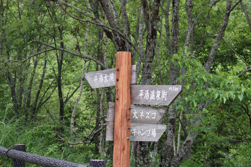 豪快な滝の音とマイナスイオンを満喫！平湯大滝コース【温泉ラン_奥飛騨温泉郷】の写真4