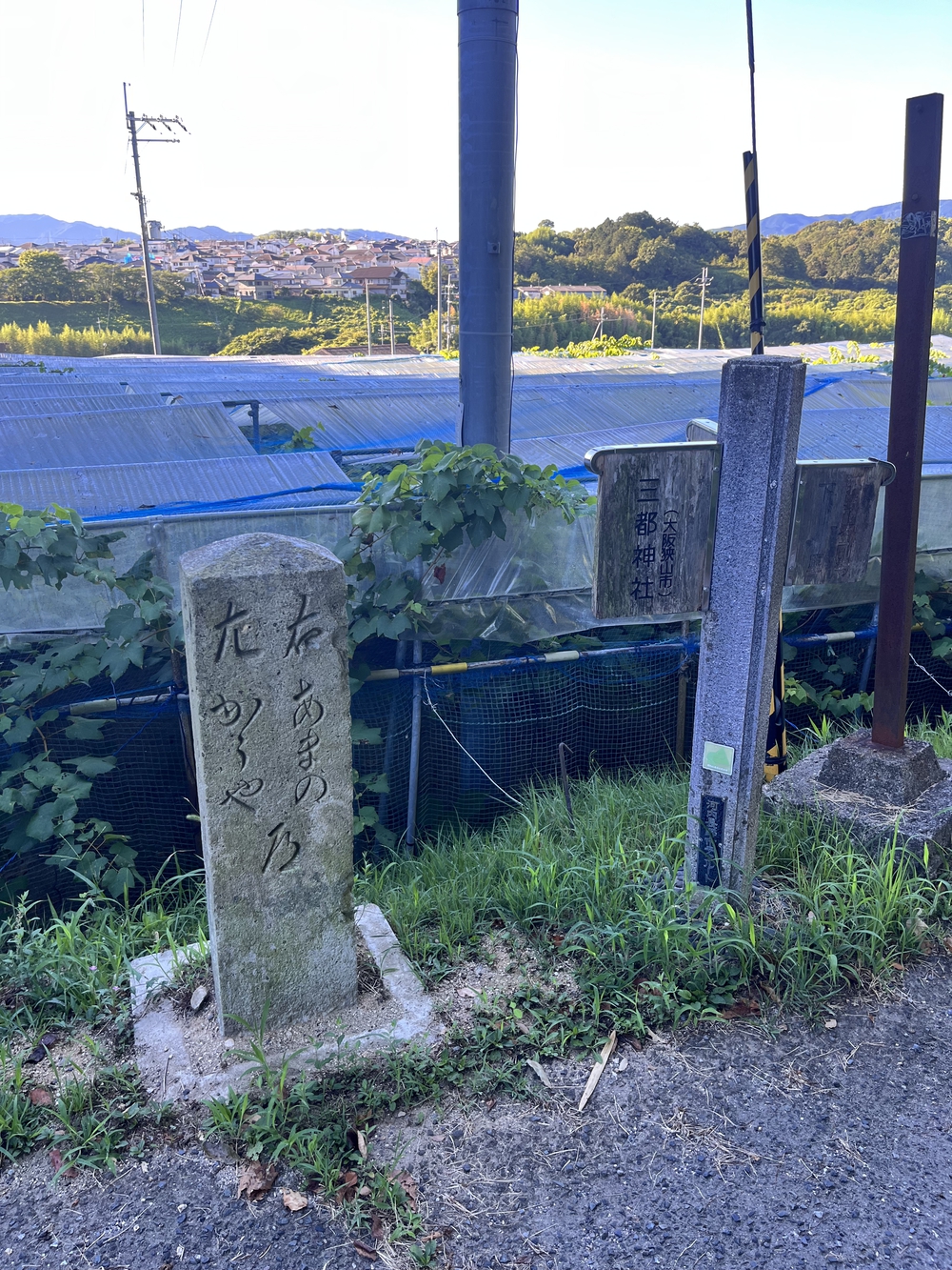 山の中は最高、最後の坂は地獄…の写真4