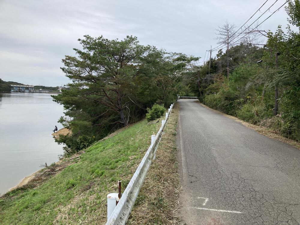 走りに集中できる♪三田千丈寺湖ランの写真5