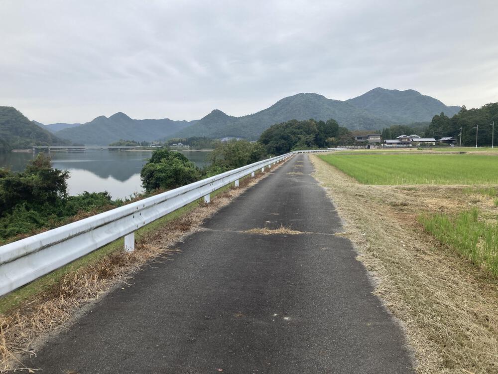 走りに集中できる♪三田千丈寺湖ランの写真6